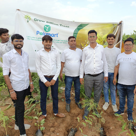 Polymart Plants the Future: Engaging Employees Through Urban Forestry – Planting