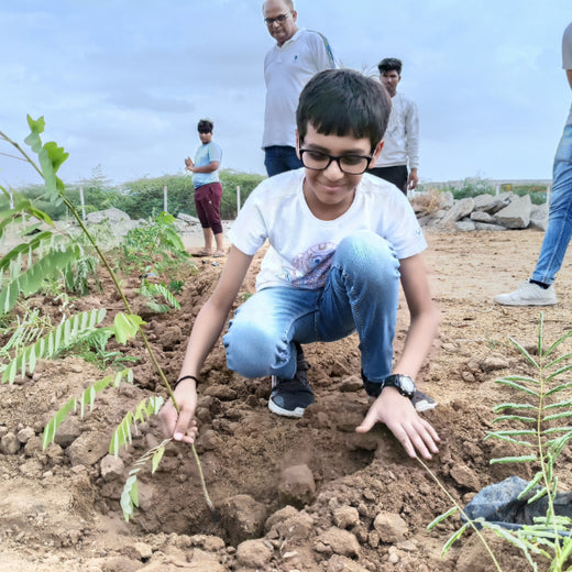 Polymart Plants the Future: Engaging Employees Through Urban Forestry – Planting