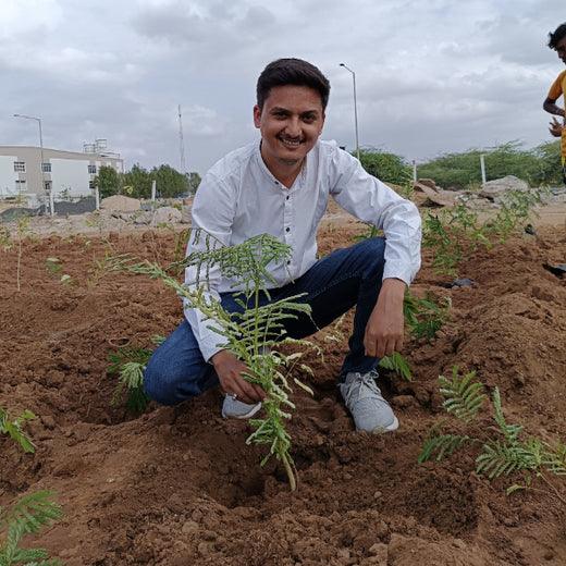 Polymart Plants the Future: Engaging Employees Through Urban Forestry – Planting