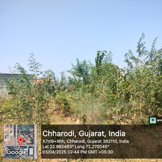 Polymart Plants the Future: Engaging Employees Through Urban Forestry – 6 months