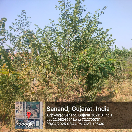Polymart Plants the Future: Engaging Employees Through Urban Forestry – 6 months