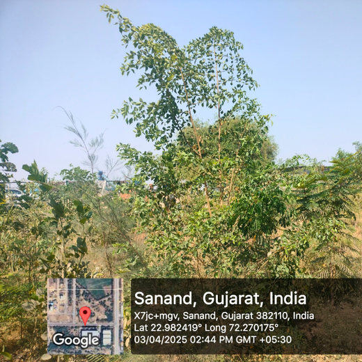 Polymart Plants the Future: Engaging Employees Through Urban Forestry – 6 months