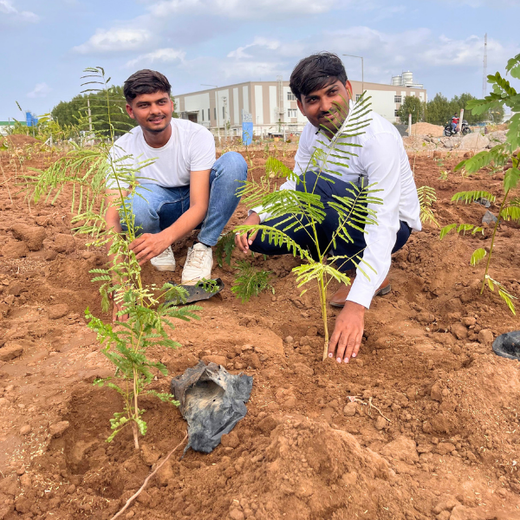 Polymart Plants the Future: Engaging Employees Through Urban Forestry – Planting