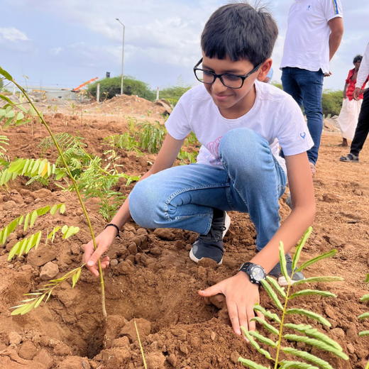 Polymart Plants the Future: Engaging Employees Through Urban Forestry – Planting