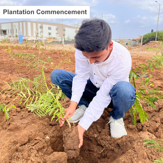 Polymart Plants the Future: Engaging Employees Through Urban Forestry – Planting