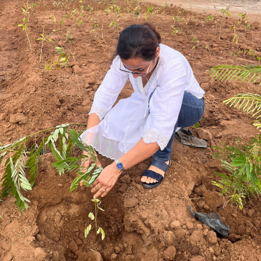 Polymart Plants the Future: Engaging Employees Through Urban Forestry – Planting
