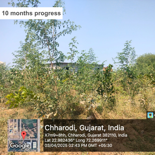 Polymart Plants the Future: Engaging Employees Through Urban Forestry – 6 months