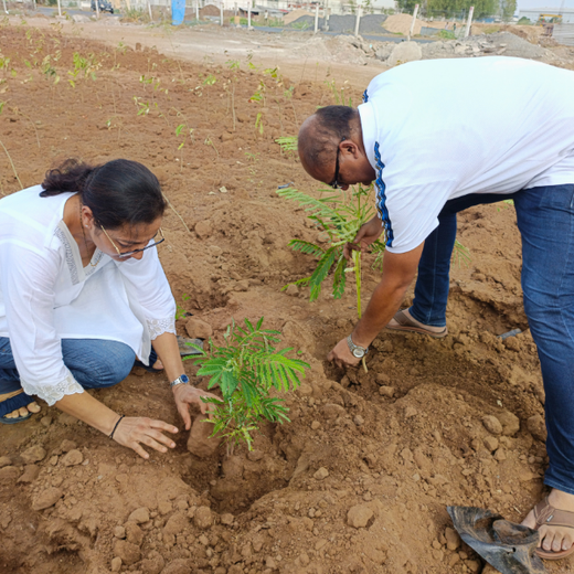 Polymart Plants the Future: Engaging Employees Through Urban Forestry – Planting