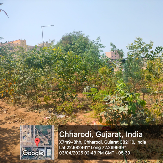 Polymart Plants the Future: Engaging Employees Through Urban Forestry – 6 months