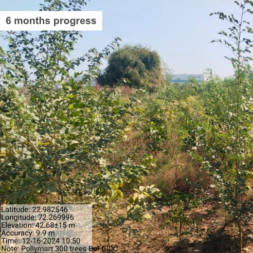 Polymart Plants the Future: Engaging Employees Through Urban Forestry – 6 months