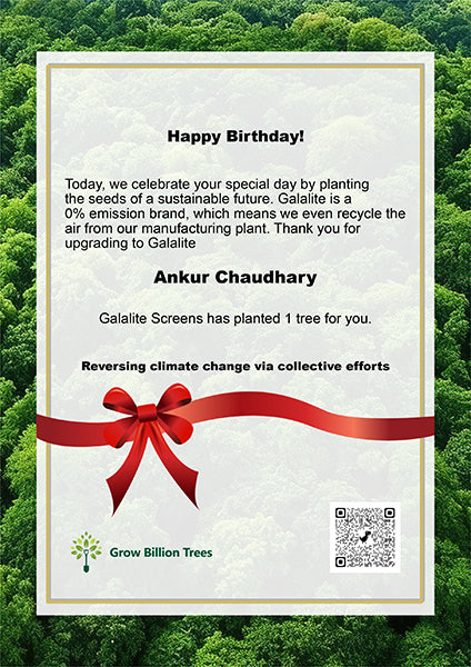 A Green Gift for Every Birthday: Galalite's Sustainable Celebration for Employees’ Birthdays – Planting
