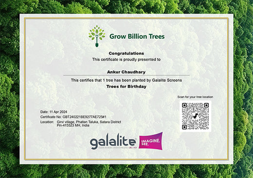 A Green Gift for Every Birthday: Galalite's Sustainable Celebration for Employees’ Birthdays – Planting