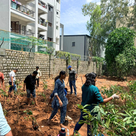 Urban Green Partnership: Amazon GPO-IN’s Global Step for Local Impact – Planting