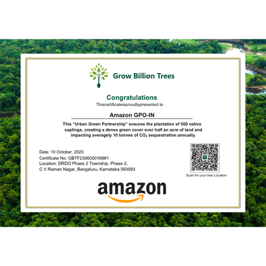Urban Green Partnership: Amazon GPO-IN’s Global Step for Local Impact – Planting