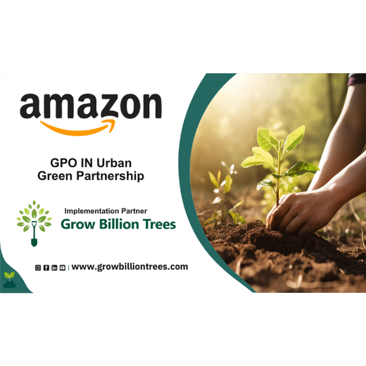 Urban Green Partnership: Amazon GPO-IN’s Global Step for Local Impact – Planting