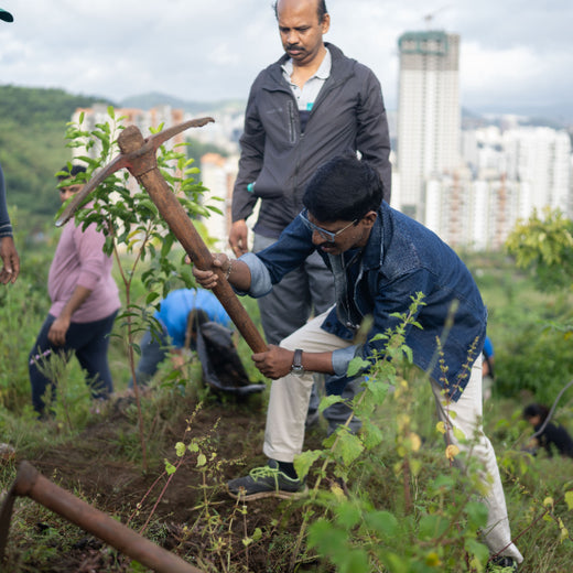 Planting a Greener Future: Bajaj Allianz General Insurance’s Vision – Planting
