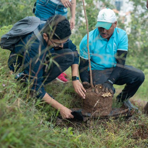Planting a Greener Future: Bajaj Allianz General Insurance’s Vision – Planting