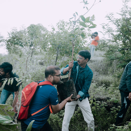 Growing for Good: Bajaj Allianz Life Insurance's Greening Mission – Planting