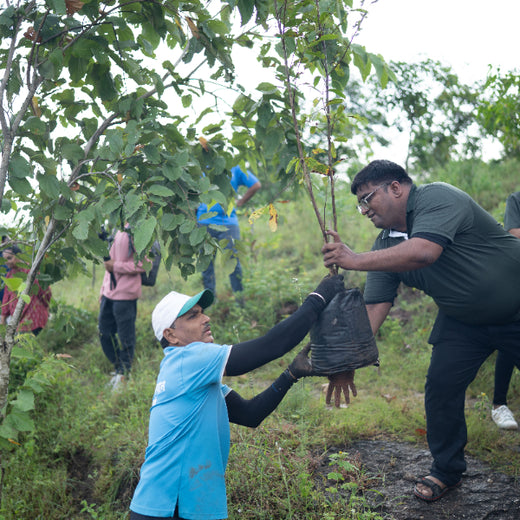 Growing for Good: Bajaj Allianz Life Insurance's Greening Mission – Planting