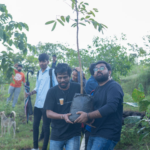 Growing for Good: Bajaj Allianz Life Insurance's Greening Mission – Planting
