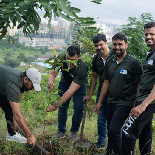 Growing for Good: Bajaj Allianz Life Insurance's Greening Mission – Planting