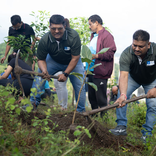 Growing for Good: Bajaj Allianz Life Insurance's Greening Mission – Planting
