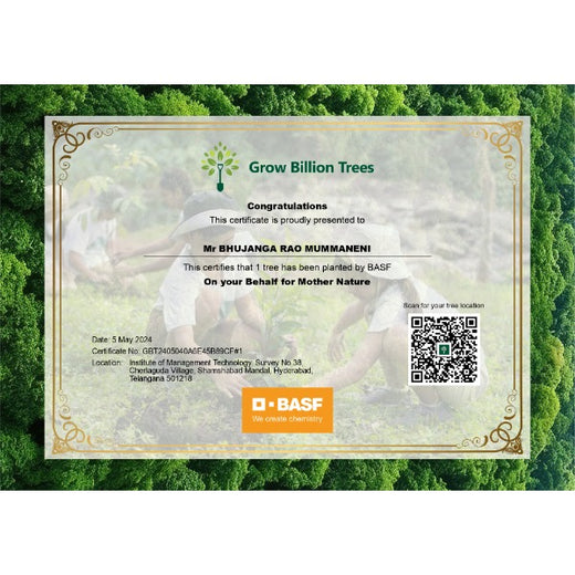 "Green Bonds: BASF/V5 Events Fosters Employee Unity Through Urban Tree Plantation" – Planting