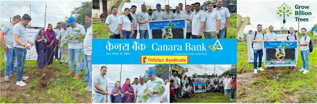 "Planting Seeds of Change: Canara Bank’s Employee-Driven Agroforestry Initiative"