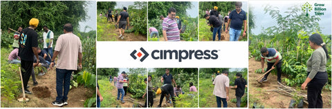 “Branching Out in Ahmedabad: Cimpress Employees Lead the Way in Urban Forest Creation”