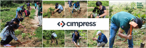 “Cimpress Bangalore's Green Quest: Building Urban Forests, Empowering Employees”