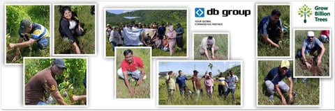 “DB Group’s Green Vision: Cultivating Employee Engagement Through Agroforestry”