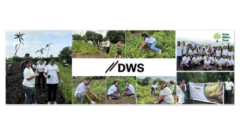 DWS Fosters Employee Engagement Through Tree Plantation Initiative