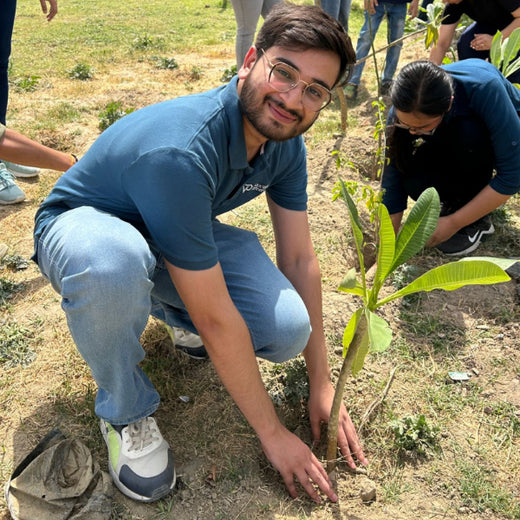Indus Valley Partners: Empowering Employees Through Urban Forest Creation – Planting