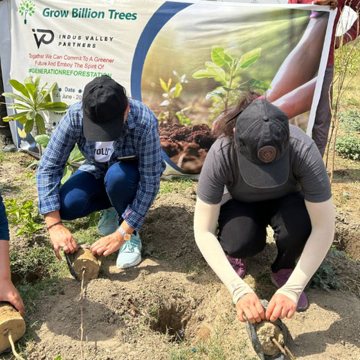 Indus Valley Partners: Empowering Employees Through Urban Forest Creation – Planting