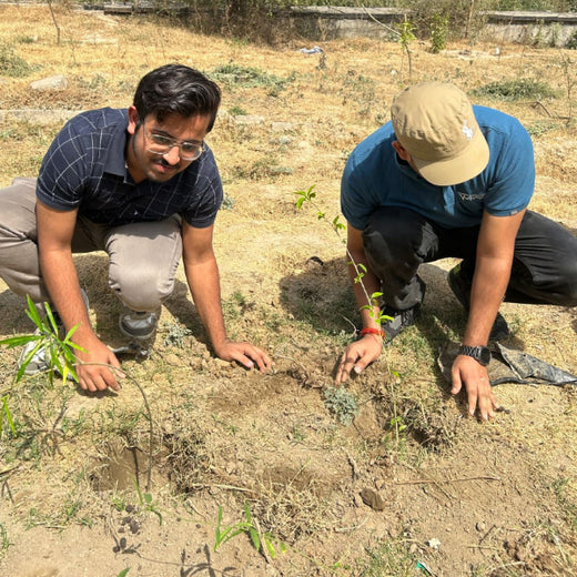 Indus Valley Partners: Empowering Employees Through Urban Forest Creation – Planting
