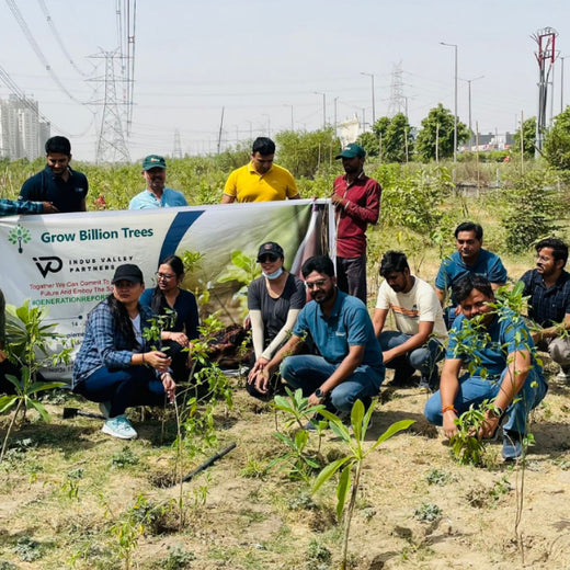 Indus Valley Partners: Empowering Employees Through Urban Forest Creation – Planting