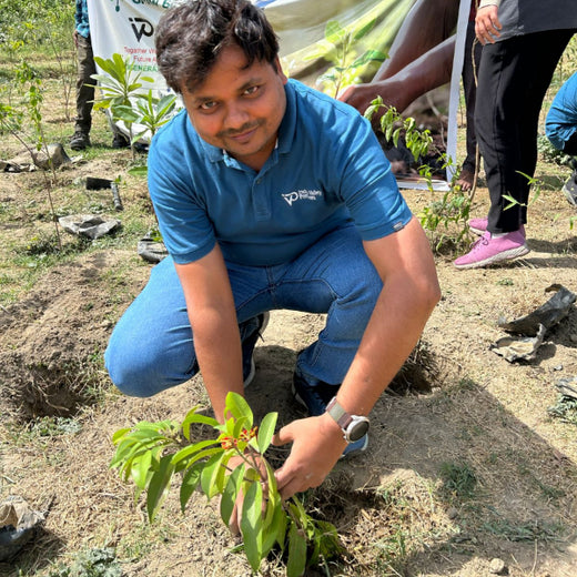 Indus Valley Partners: Empowering Employees Through Urban Forest Creation – Planting