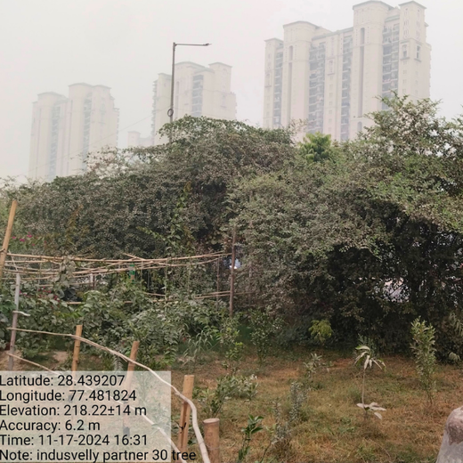 Indus Valley Partners: Empowering Employees Through Urban Forest Creation – 6 months
