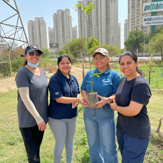 Indus Valley Partners: Empowering Employees Through Urban Forest Creation – Planting
