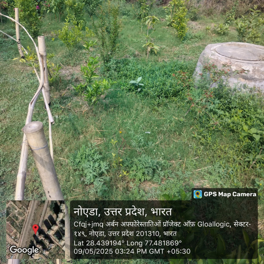 Indus Valley Partners: Empowering Employees Through Urban Forest Creation – 6 months