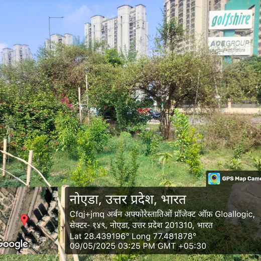 Indus Valley Partners: Empowering Employees Through Urban Forest Creation – 6 months