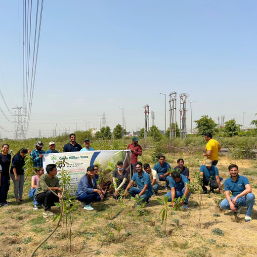 Indus Valley Partners: Empowering Employees Through Urban Forest Creation – Planting