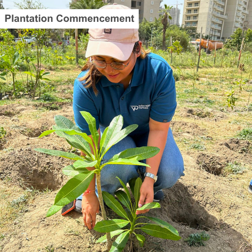 Indus Valley Partners: Empowering Employees Through Urban Forest Creation – Planting