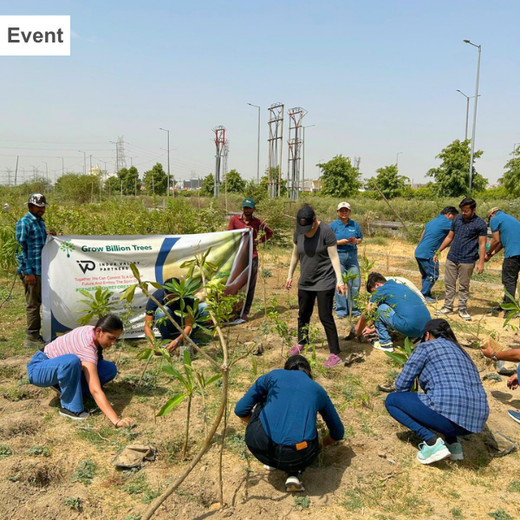 Indus Valley Partners: Empowering Employees Through Urban Forest Creation – Planting