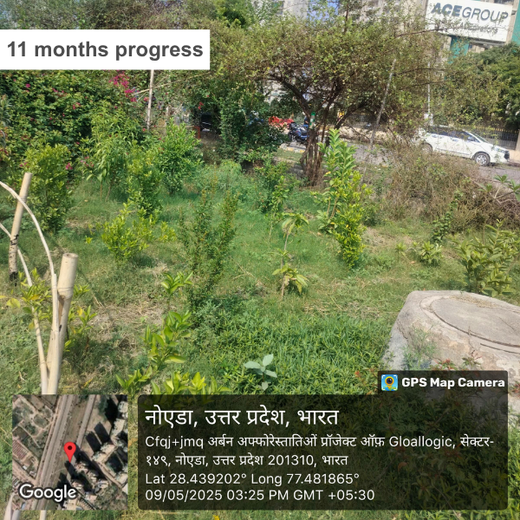Indus Valley Partners: Empowering Employees Through Urban Forest Creation – 6 months