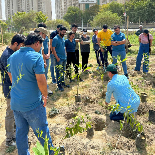 Indus Valley Partners: Empowering Employees Through Urban Forest Creation – Planting