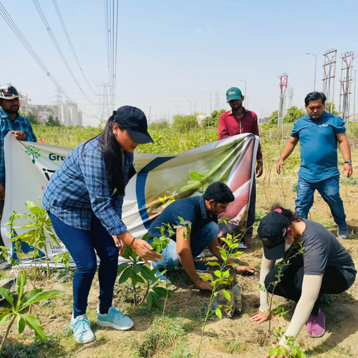Indus Valley Partners: Empowering Employees Through Urban Forest Creation – Planting