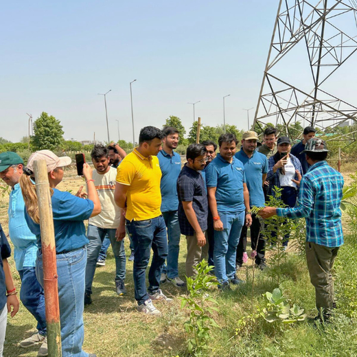 Indus Valley Partners: Empowering Employees Through Urban Forest Creation – Planting