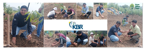 Rooted in Teamwork: KBR's Employee Engagement through Tree Plantation