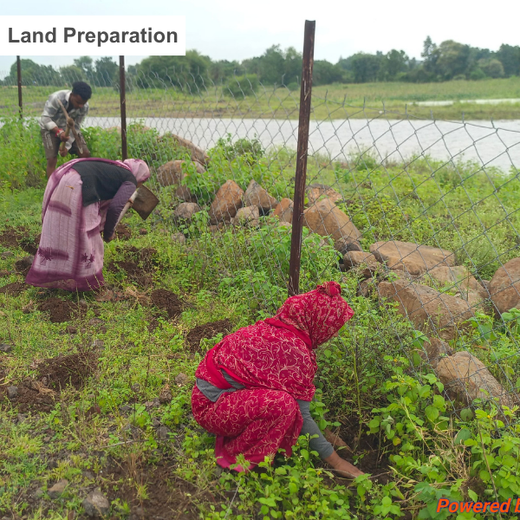Seeds of Change: L&T Community Forest for Environmental Resilience – Planting